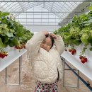 하은이네 농장 이미지