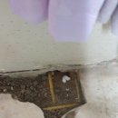 대동빌라 이미지