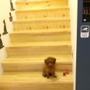 강산동물병원 이미지