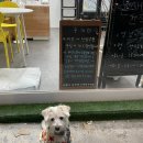 온새네 간식점 이미지