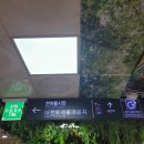 남대천한의원 | [4월 대전여행 ①] 대전 트래블라운지 - 옛날 교복 대여해서 입고 노잼 도시에서 골목 투어하며 재미...