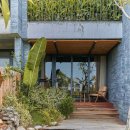 카사미아 이미지