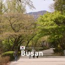백양산체육공원 | 부산 데이트 나들이 코스 추천 어린이대공원 주차 정보 포함