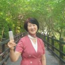 인셀덤숲 이미지