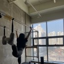 스텔라바디핏 이미지