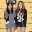 커피보라 이미지