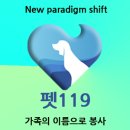 현대 강아지＆고양이 이미지