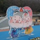 복주는돼지 이미지
