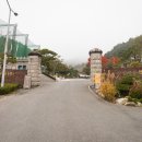 대지사슴농장 이미지