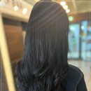 산곡 애견사랑 이미지