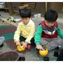 햇살다육꽃사랑 이미지