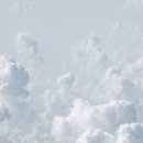 일상의향기