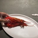 26260-51-21-050 | [압구정,강남] 사라우츠(까라비네로, 와인페어링, 스페니쉬 파인다이닝, 솔직후기)