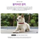 99 네이버블로그