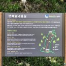 건천편백숲내음길 네이버블로그