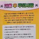 사랑해똥깡아지 이미지