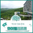 GS25시 고한하이원점 | 하이원리조트 마운틴콘도 그랜드 디럭스 숙박후기, 60계치킨과 편의점까지