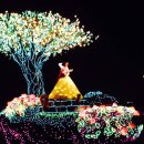 도쿄 디즈니랜드 갔다온 후기 이미지