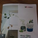 바스터 | 곰팡이제거제 :: 곰팡이바스터 후기