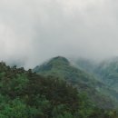 빈센조풀빌라펜션 이미지