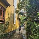 럭셔리당구장 | 호이안 인기 숙소 내돈내산 솔직 후기_라 시에스타 호이안 리조트 앤 스파 (룸컨디션, 부대시설, 조식...