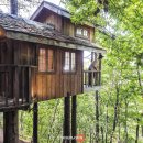 트리하우스 이미지