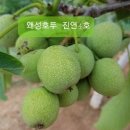 동백 죽전대로4-1 이미지