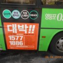 세진렌트카 이미지