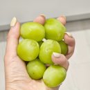 복주농장 이미지