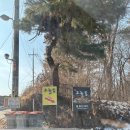 그늘집 - 고양시 일산서구 덕이로 30-28 | 그늘집
