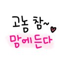 위미초등학교 ↔ 동백군락지 이미지