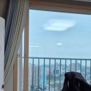 우미린더퍼스트 | 안성 거실유리창청소/뚜나모비토탈케어 공도우미린더퍼스트 아파트외창청소 후기