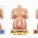 보타닉필라테스