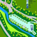 거북애견 이미지