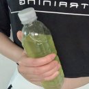 보리물농원