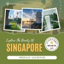 영천야시장옥외1구역 | 여기어때 트립홀릭 싱가포르 여행추천
