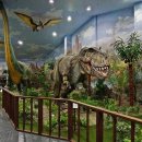 덕소자연사박물관 이미지