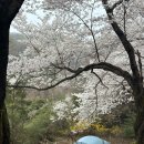 청려수련원 이미지