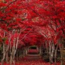 실로암안경원 이미지