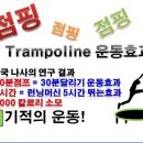 허브앤점핑Do