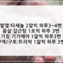 군산메디칼약국 이미지