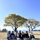 파인비치 | 12월 파인비치 골프패키지 라운드 부킹, 날씨, 예약후기까지!