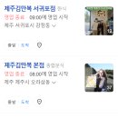 카카오 이미지