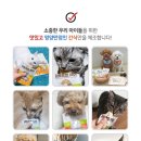 펫츠플레이트 이미지