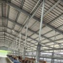 일구사슴농장 이미지