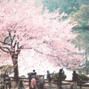 마인발레학원 이미지