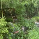 본가제주밥상 | 남양주맛집 본가제주밥상 다녀온 후기예요