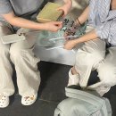 써티나인 | 잔병바리 써티쓰리의 눈물의 회복 일기