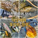 2026년 아웃도어 플랜 | 시즌별 루어낚시 대상어와 포인트 정보