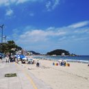 해운대 Daum카페